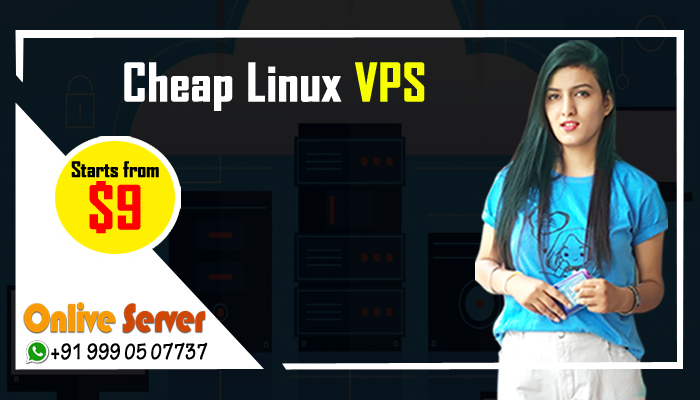 Cheap Linux VPS Hosting Servers – These are 4 facts for online business