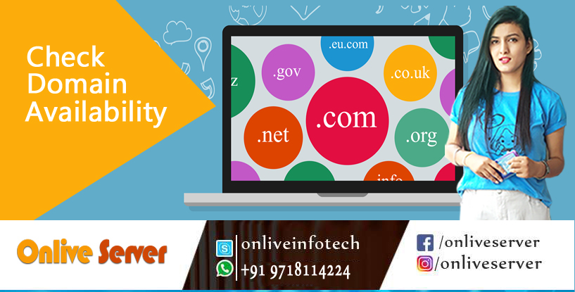 Domain Name Search