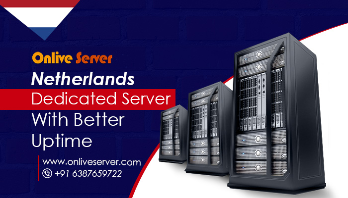 Netherlands Dedicated Server Start a Business with Online Server